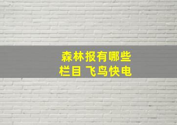 森林报有哪些栏目 飞鸟快电